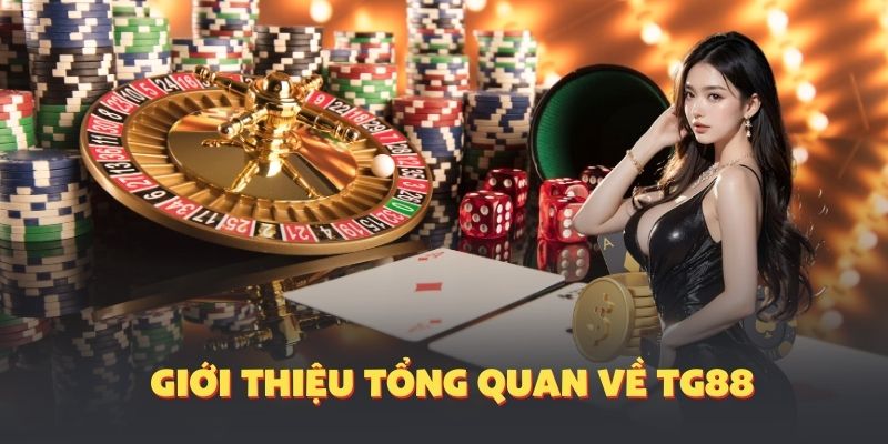 Giới thiệu tổng quan về TG88